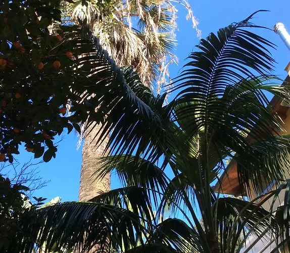 Villino With Garden 特罗佩阿