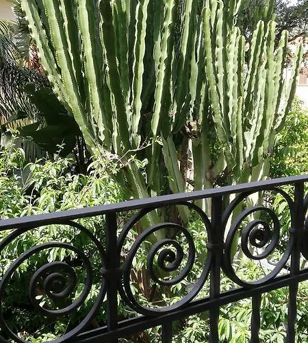 Villino With Garden Vakantiehuis Tropea